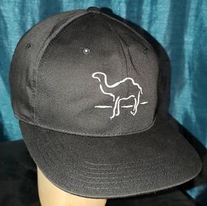 Vintage camel hats